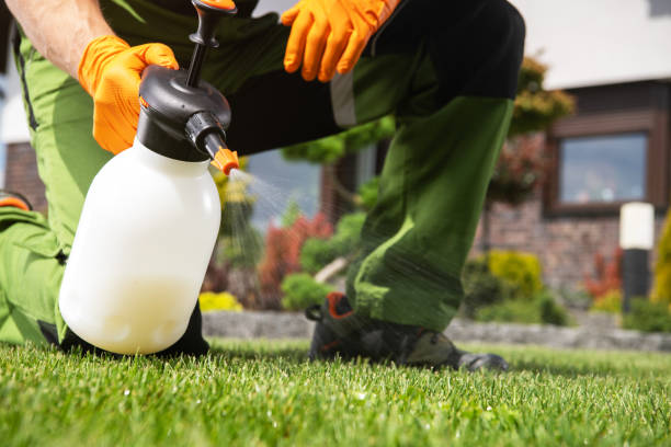 Professional Pest Control in Cornish, ME
