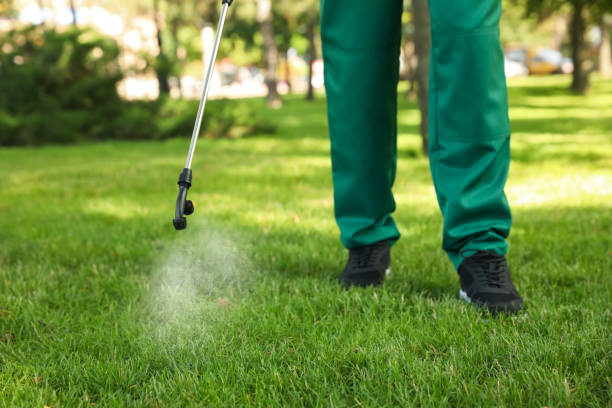 Trusted Cornish, ME Pest Control Experts