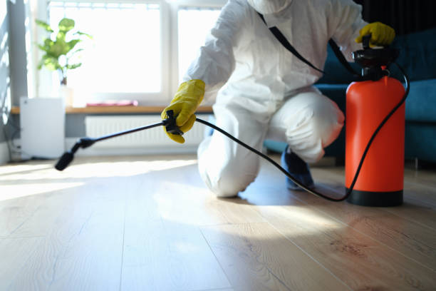 Best Local Pest Control Services  in Cornish, ME