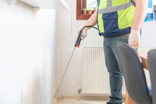 Best Wasp Removal Services  in Cornish, ME