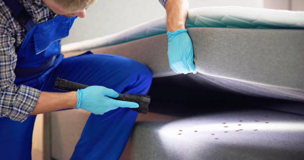 Best Pest Prevention Services  in Cornish, ME
