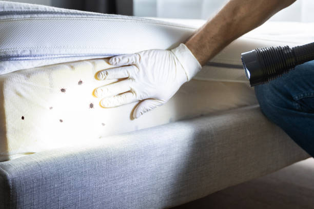 Best Pest Inspection Near Me  in Cornish, ME