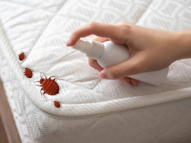 Best Pest Inspection Near Me  in Cornish, ME