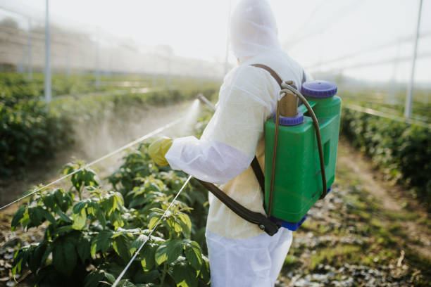 Best Pest Removal Services  in Cornish, ME